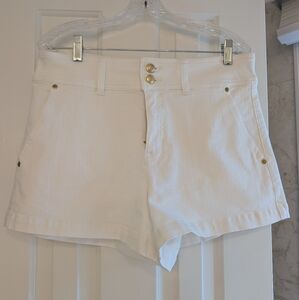J.Crew Shorts